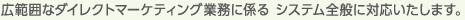 �L�͈͂ȃ_�C���N�g�}�[�P�e�B���O�Ɩ��ɌW�� �V�X�e���S�ʂɑΉ��������܂��B