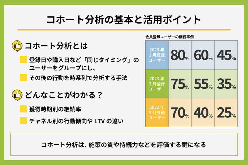 コホート分析の基本と活用ポイント