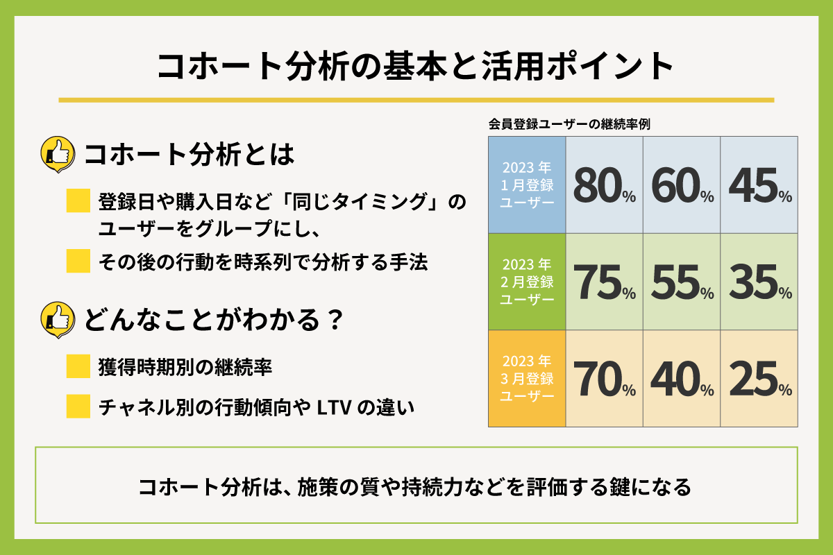 コホート分析の基本と活用ポイント