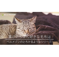 ～猫がいちばん好きな毛布は ベルメゾンのとろけるようなシリーズ！～ WEB限定CM配信開始