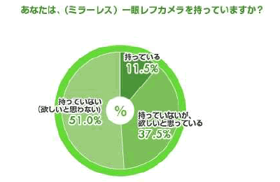 あなたは、（ミラーレス）一眼レフカメラを持っていますか？